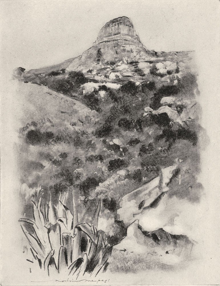 SOUTH AFRICA. Hill Country near Bloemfontein 1920 old antique print picture